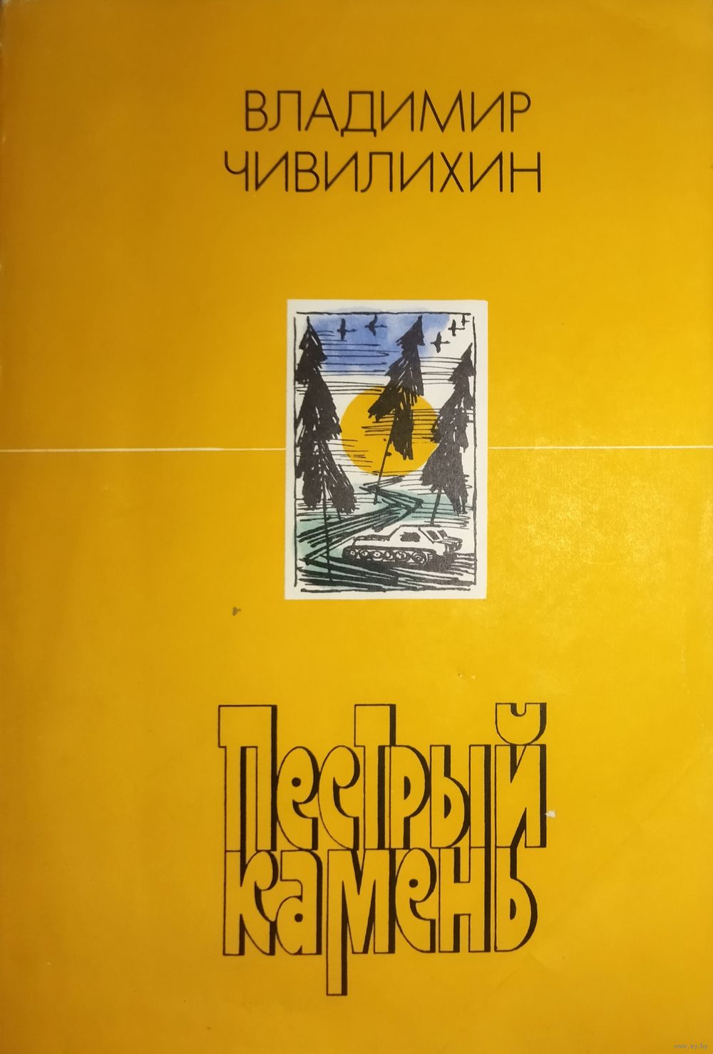 ПЕСТРЫЙ КАМЕНЬ. В. Чевелихин. Купить в Минске — Рассказы, повести Ay.by.  Лот 5036351289