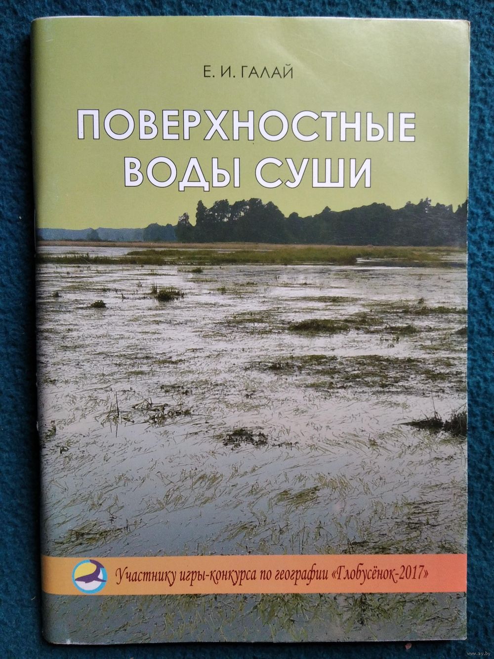 Е.И. Галай. Поверхностные воды суши // Глобусенок. Купить в Могилеве —  Книги Ay.by. Лот 5036320489