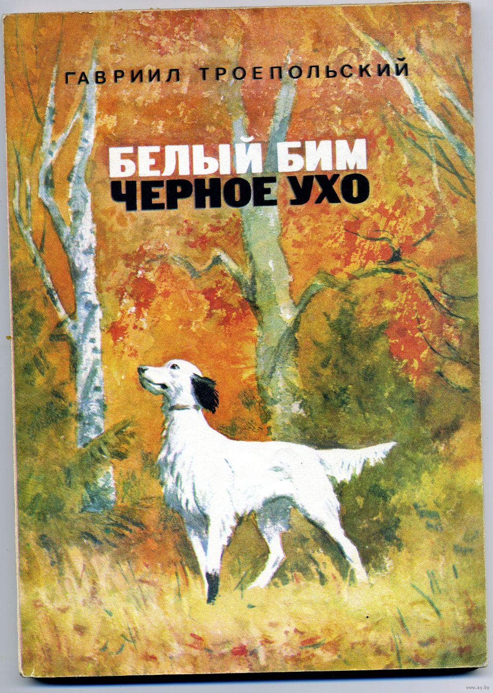 Книга, ТРОЕПОЛЬСКИЙ, БЕЛЫЙ БИМ, ЧЕРНОЕ УХО, 1981 мяккий переплет. Купить в  Минске — Рассказы, повести Ay.by. Лот 5034544518