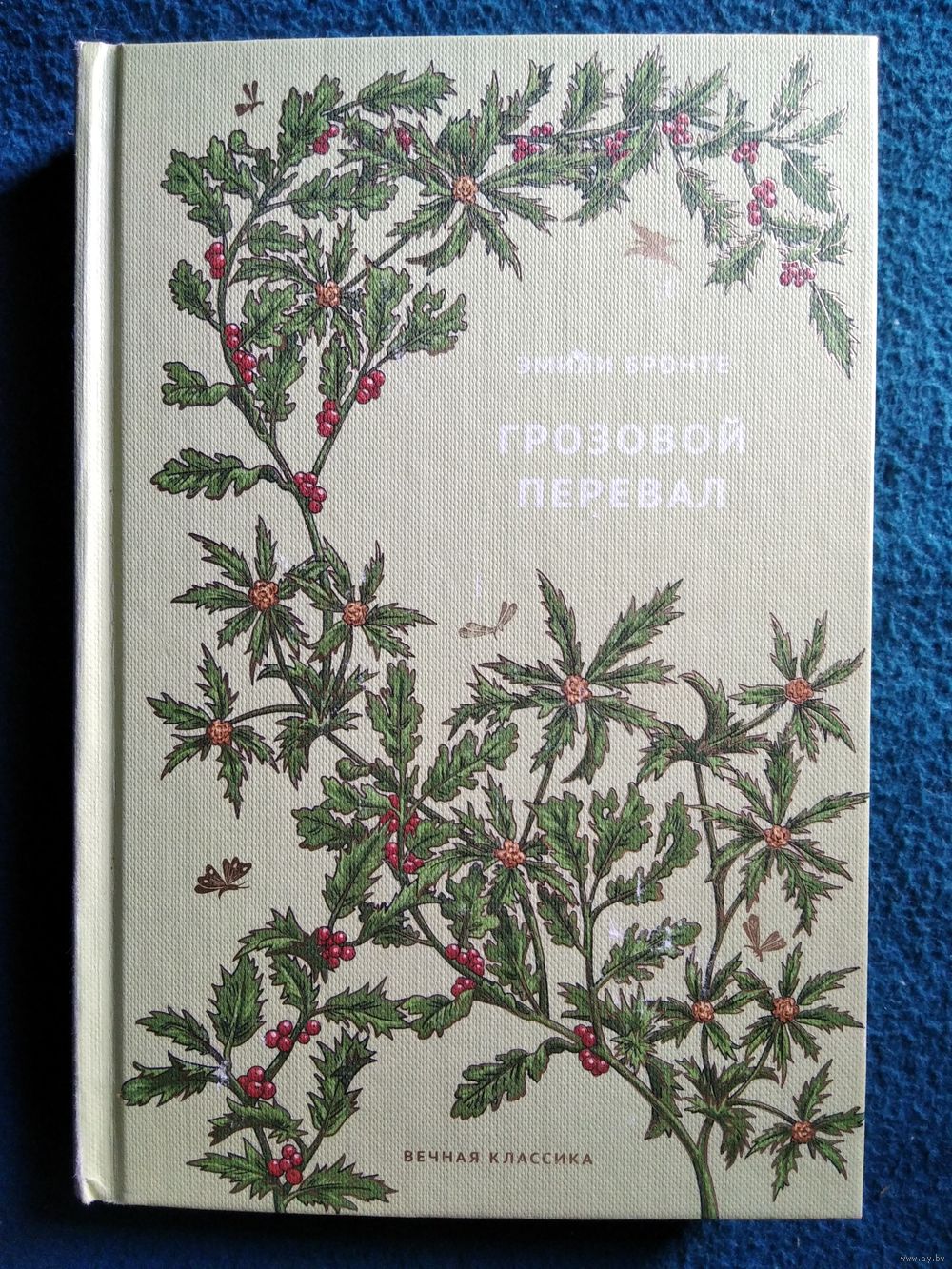 Эмили Бронте. ГРОЗОВОЙ ПЕРЕВАЛ // Серия: Вечная классика. Купить в Могилеве  — Книги Ay.by. Лот 5035867648