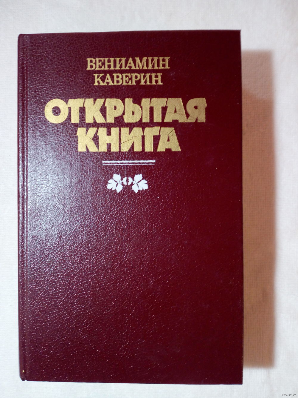 Открытая книга Каверин Азбука