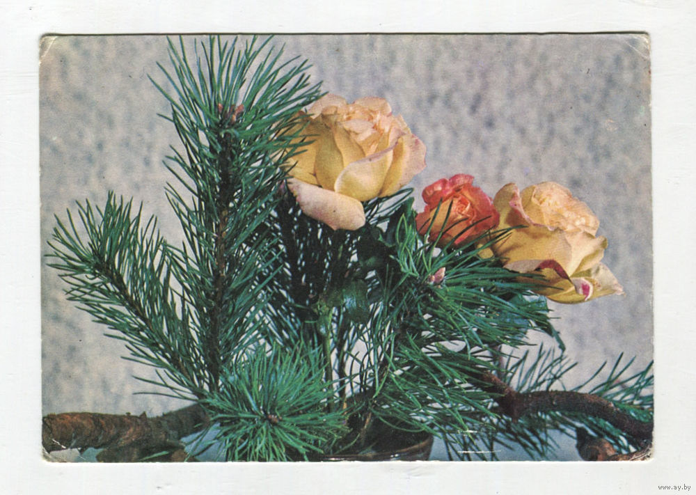 Открытки ссср цветы - 78 фото