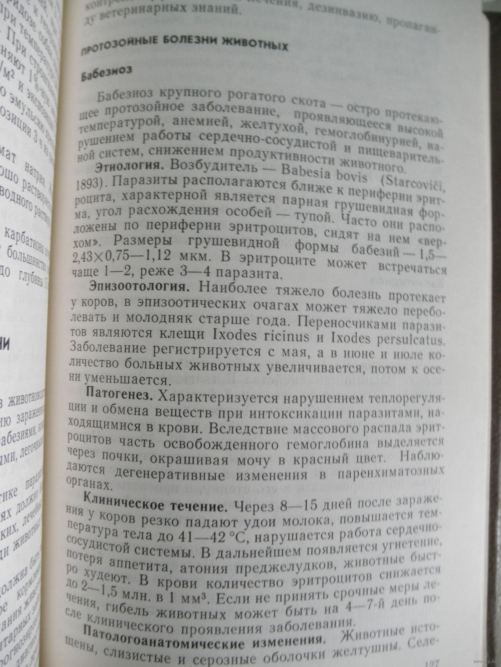 Если шею и спину простреливает боль